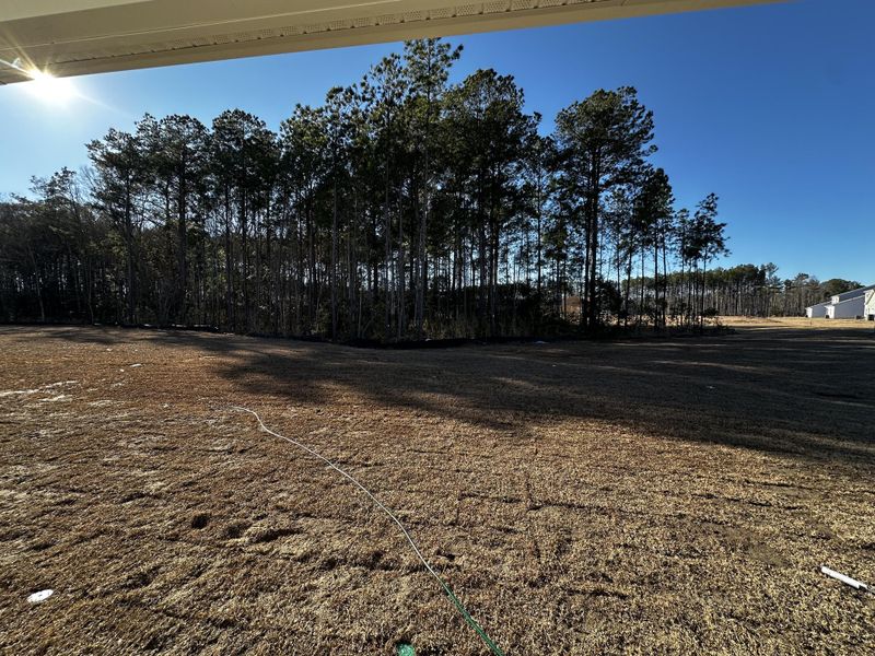 Site preparation for new homesites in , Summerville (Image 24).