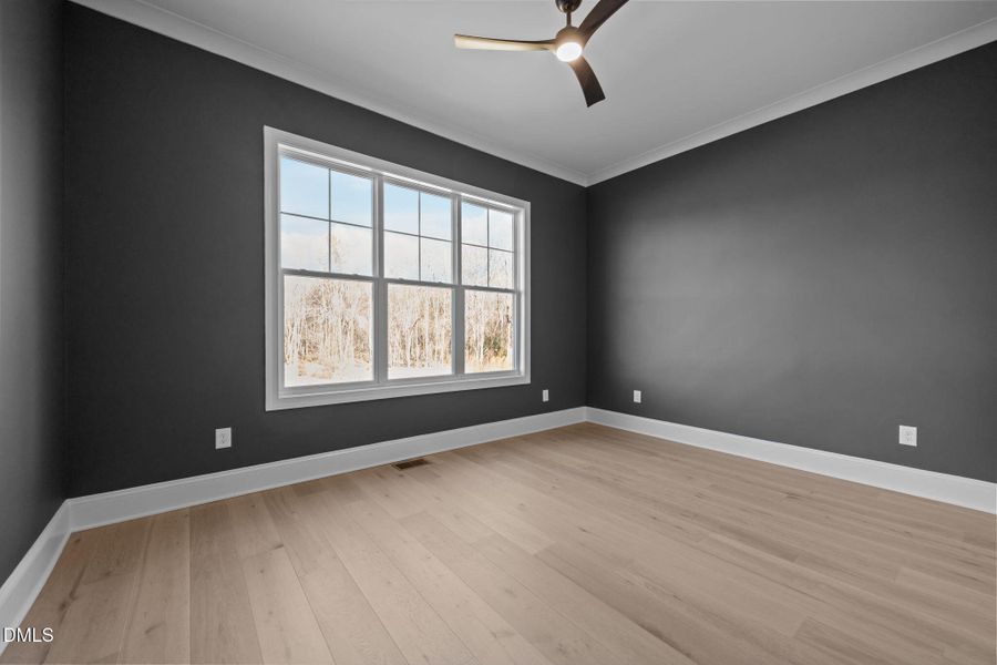 22-web-or-mls-IMG_3898