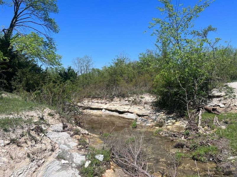 Natural landscape and outdoor views near Ramble in Celina (Image 11).
