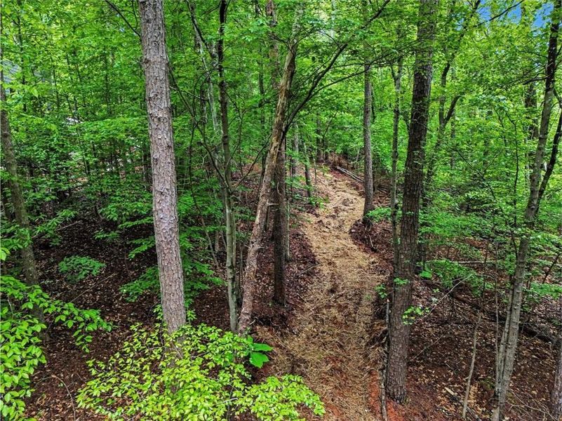 Natural landscape and outdoor views near  in Marietta (Image 32).