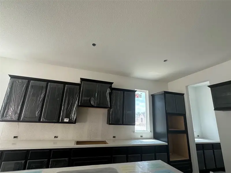 Light & Bright Open Concept Kitchen