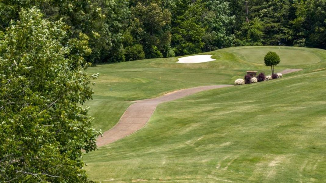 Natural landscape and outdoor views near Hughes Court in Dawsonville (Image 40).