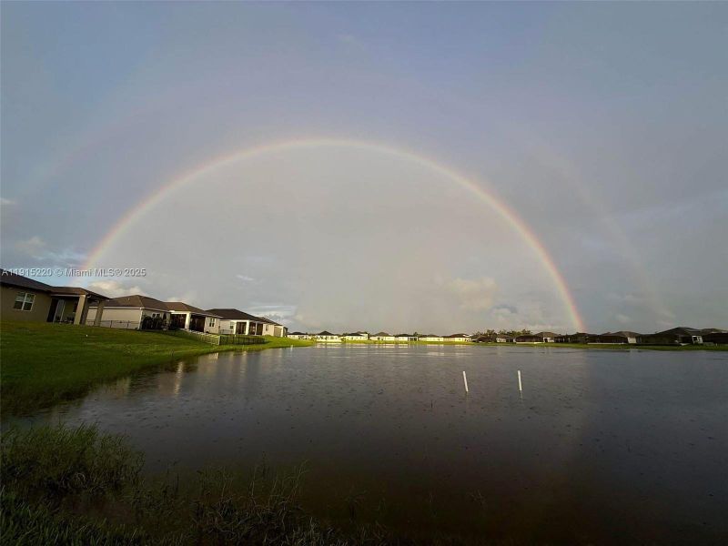 Natural landscape and outdoor views near in Fort Myers (Image 28). Natural landscape and outdoor views near in Fort Myers (Image 28).