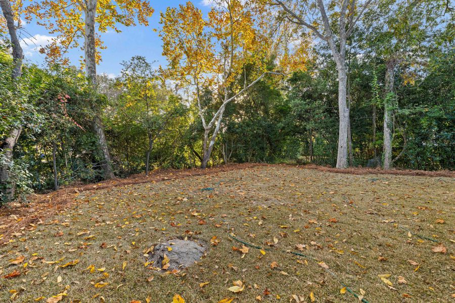 Exterior details and patio area of a home in , Charleston (Image 22).