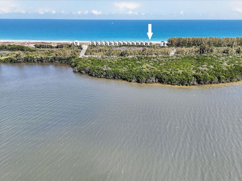 4360DiamondShrsWyAerials(36)a