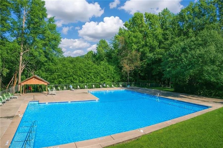 Community amenities in , Ellijay (Image 30).