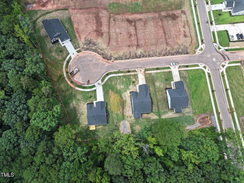 dji_fly_20250711_115548_0147_17522499493 dji_fly_20250711_115548_0147_17522499493