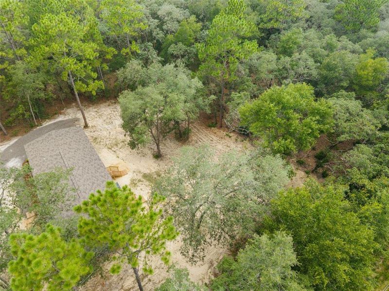 Natural landscape and outdoor views near  in Dunnellon (Image 32).