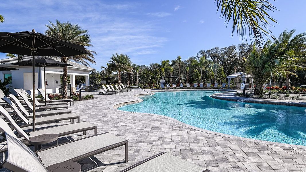 Community amenities in Skye Ranch Community Group Page, Sarasota (Image 51).