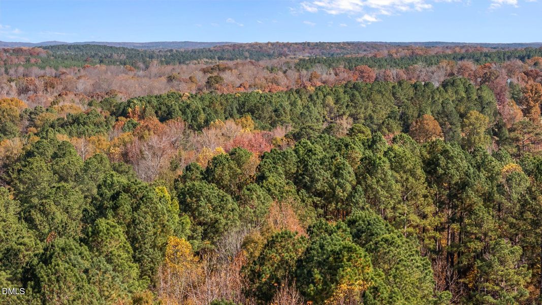 63-web-or-mls-DJI_20251107112647_0451_D