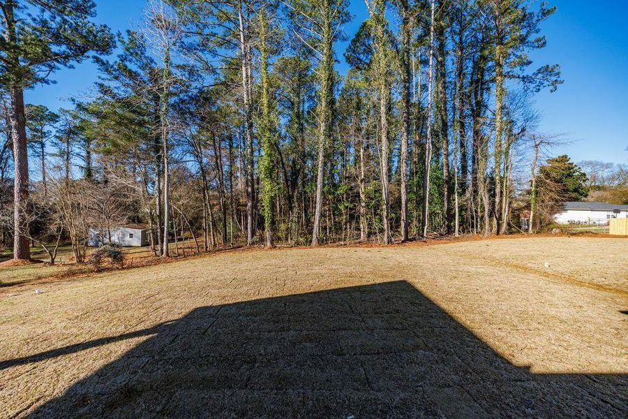 Natural landscape and outdoor views near  in Carrollton (Image 46).