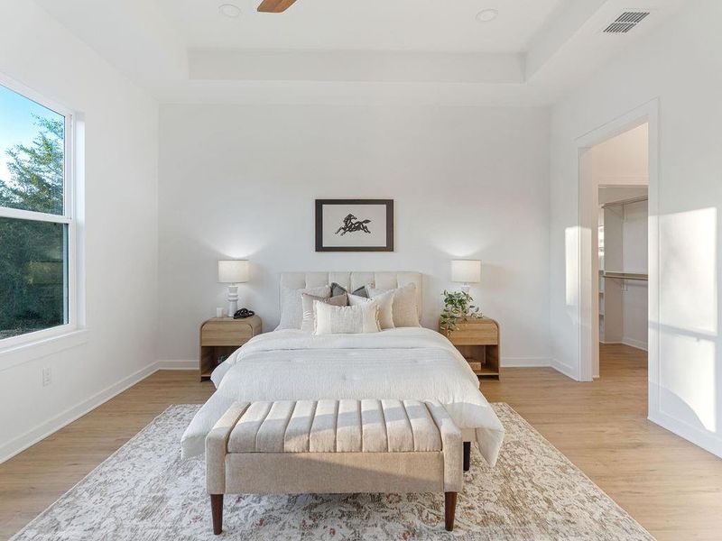 Bedroom featuring light wood-style flooring, a tray ceiling, a spacious closet, and a ceiling fan