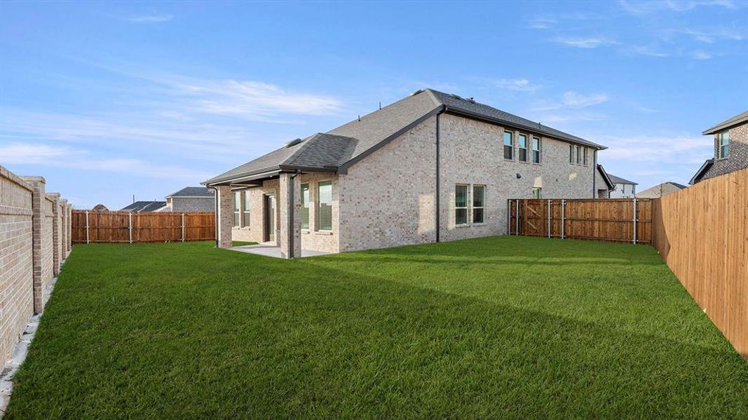 25. 778 Hidden Feather - Back