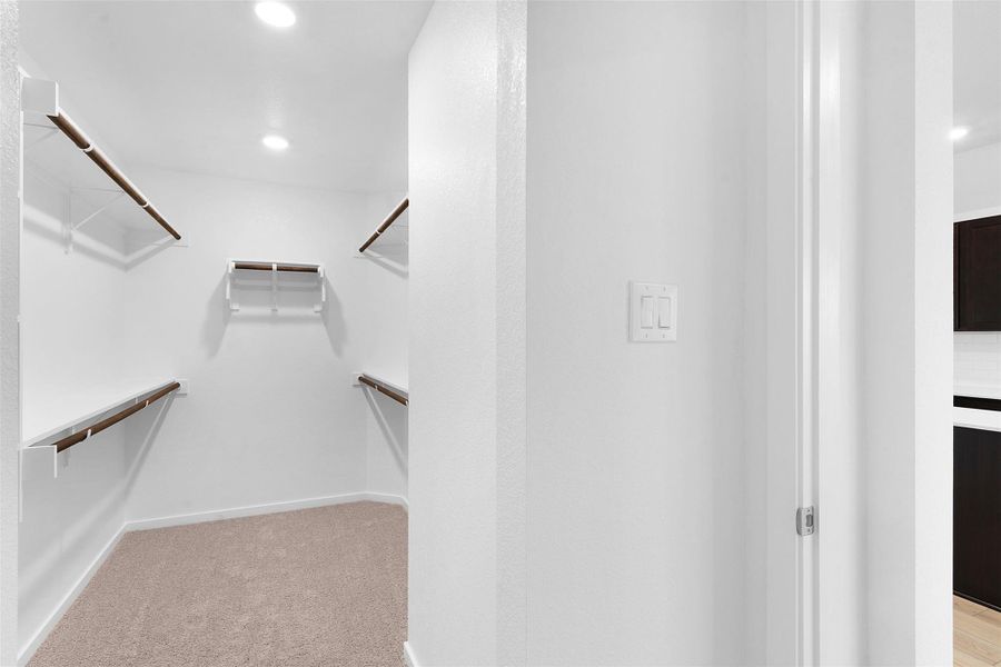 Spacious closet with light colored carpet