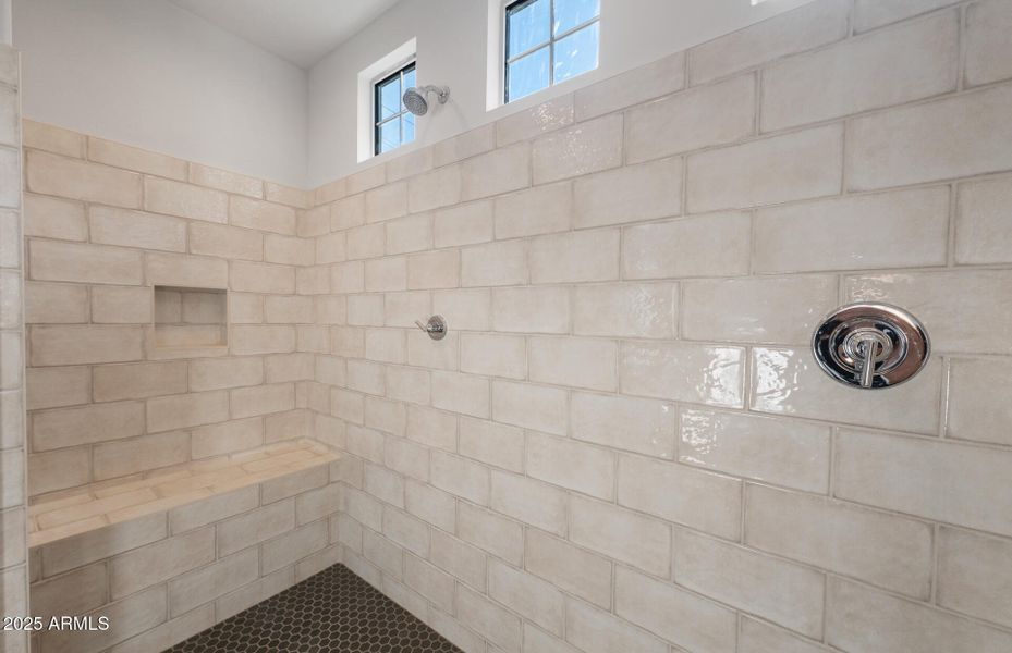 Owner's Shower Owner's Shower