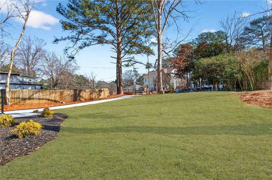 Natural landscape and outdoor views near  in Atlanta (Image 56).