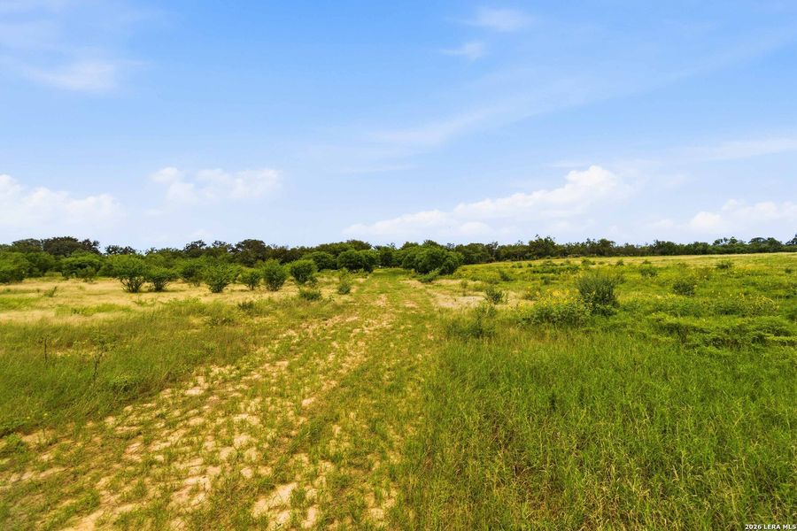 Natural landscape and outdoor views near  in Sabinal (Image 71).