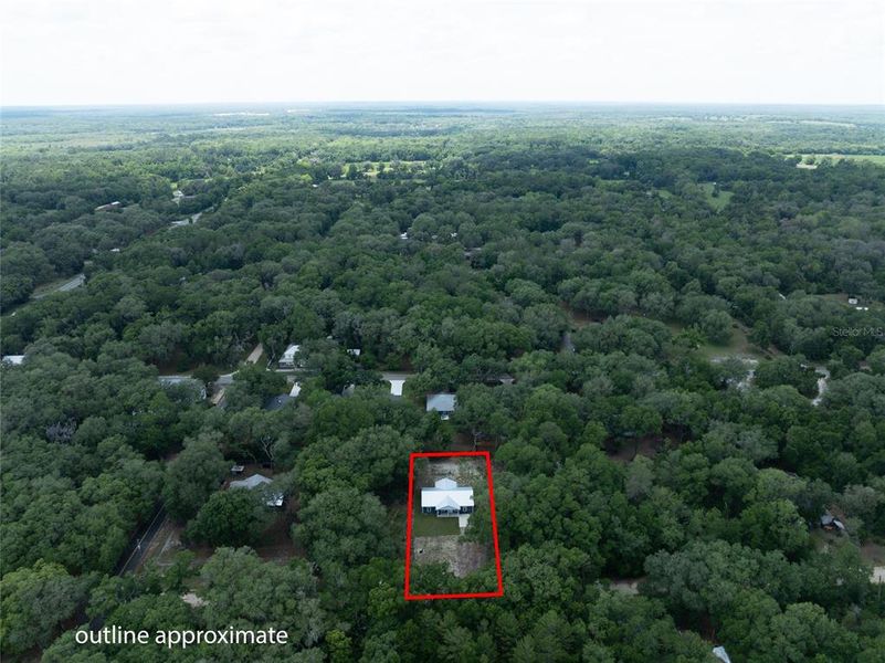 Natural landscape and outdoor views near  in Florahome (Image 40).