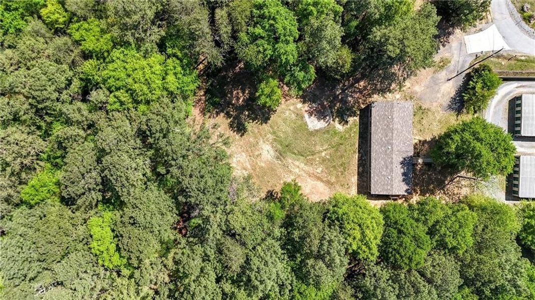 Natural landscape and outdoor views near  in Rockmart (Image 38).