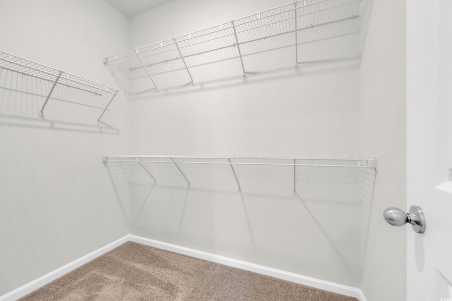 Spacious closet with carpet floors Spacious closet with carpet floors