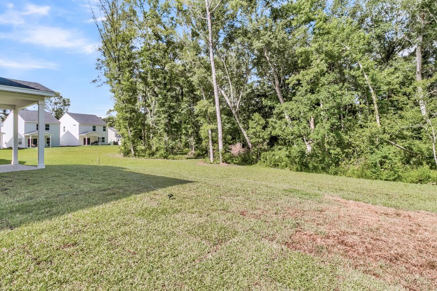 Natural landscape and outdoor views near Central Creek in Goose Creek (Image 47). Natural landscape and outdoor views near Central Creek in Goose Creek (Image 47).