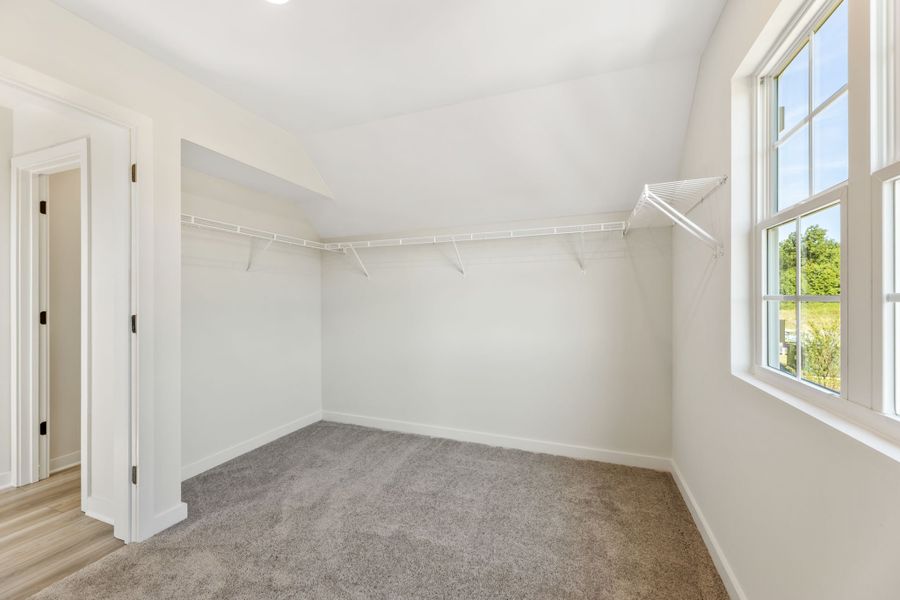 A room with a carpet and windows.