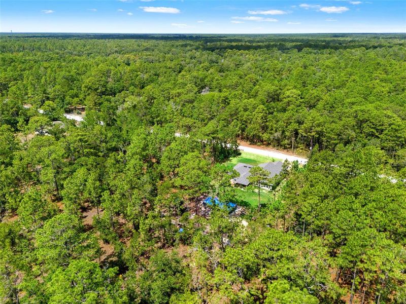 Natural landscape and outdoor views near Royal Highlands in Brooksville (Image 47).