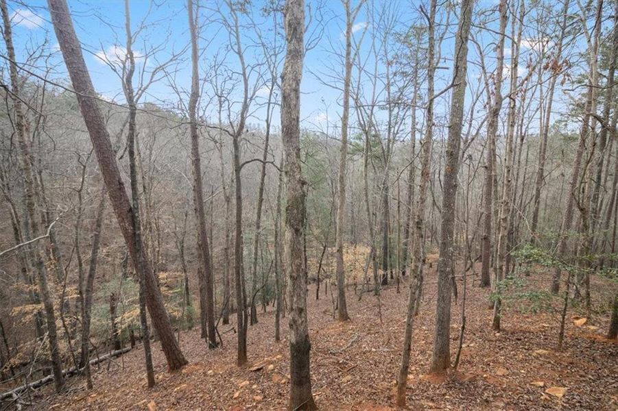 Natural landscape and outdoor views near  in Ellijay (Image 33).