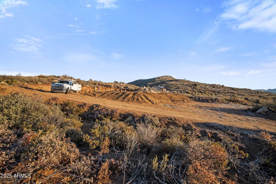 IMG_8015 (1) IMG_8015 (1)