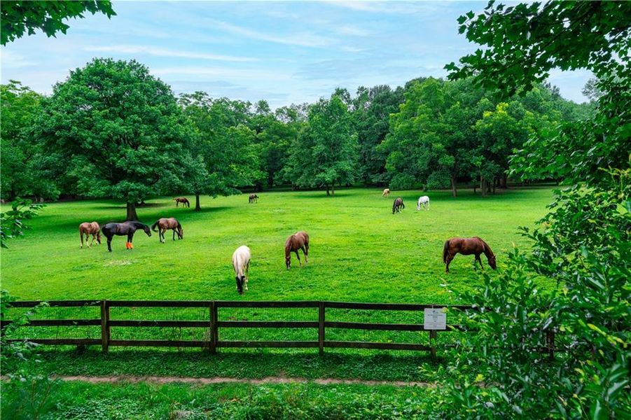 Natural landscape and outdoor views near  in Decatur (Image 39).