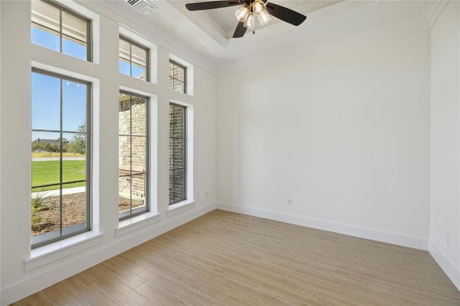 Unfurnished room featuring ornamental molding, light hardwood / wood-style flooring, and ceiling fan