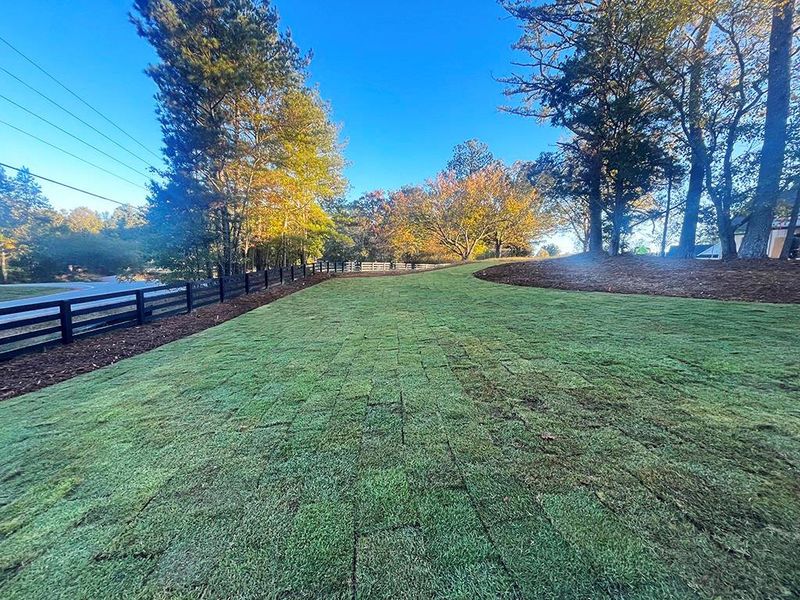 Natural landscape and outdoor views near  in White (Image 65).