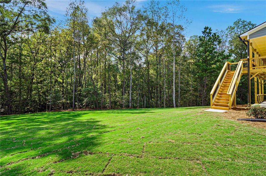 Natural landscape and outdoor views near Spring Creek in Monroe (Image 11).