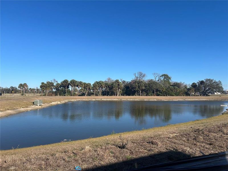 Natural landscape and outdoor views near Oakfield Trails in Parrish (Image 32).