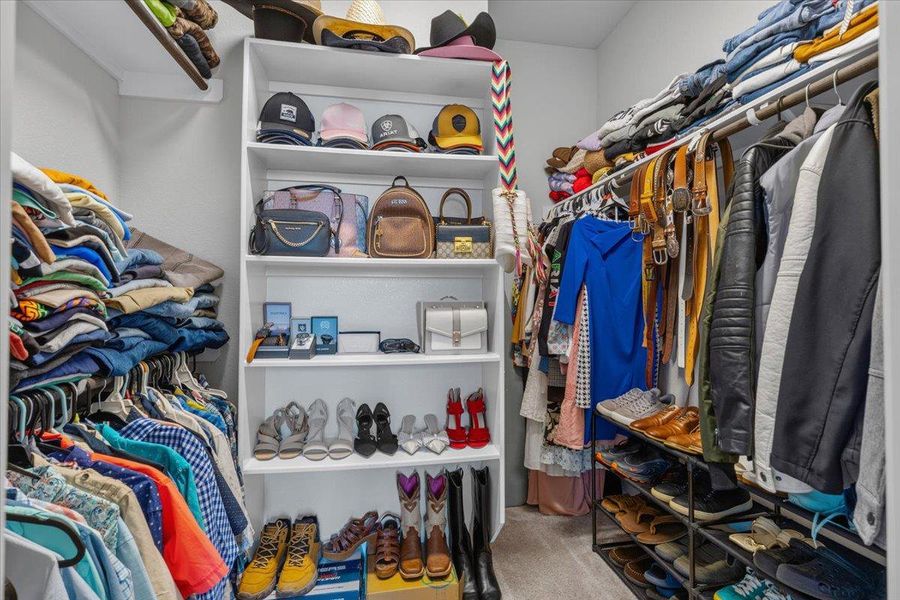 Custom built-in shelving organizes this carpeted walk-in closet.
