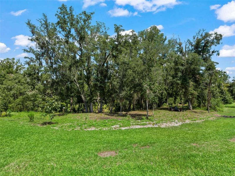 Natural landscape and outdoor views near Fox Pointe at Rivers Edge in Leesburg (Image 44).