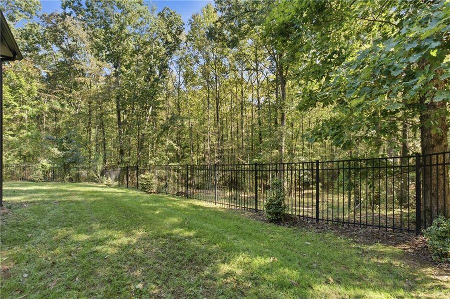 Natural landscape and outdoor views near  in Auburn (Image 75).