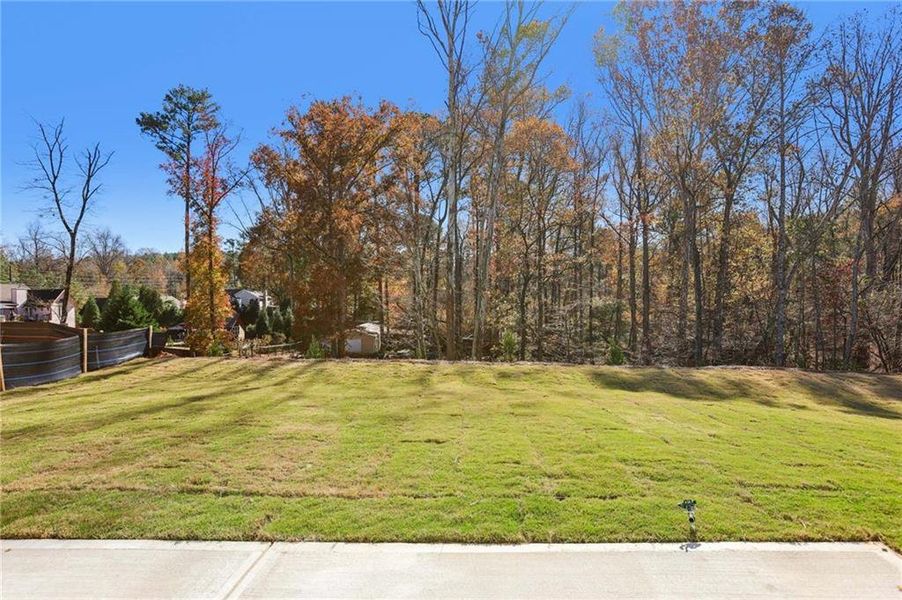 Natural landscape and outdoor views near Arbors at Richland Creek in Buford (Image 45).