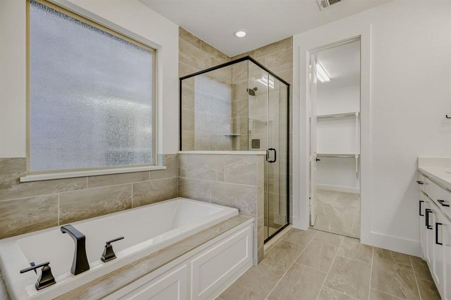 Bathroom featuring vanity, a bath, a walk in closet, and a shower stall