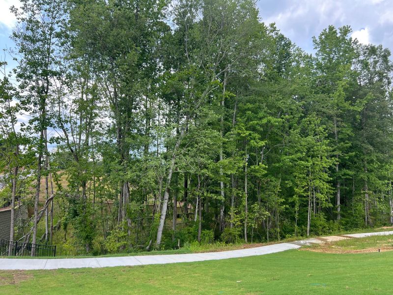 Natural landscape and outdoor views near White Oak Creek Crossing in Angier (Image 22). Natural landscape and outdoor views near White Oak Creek Crossing in Angier (Image 22).