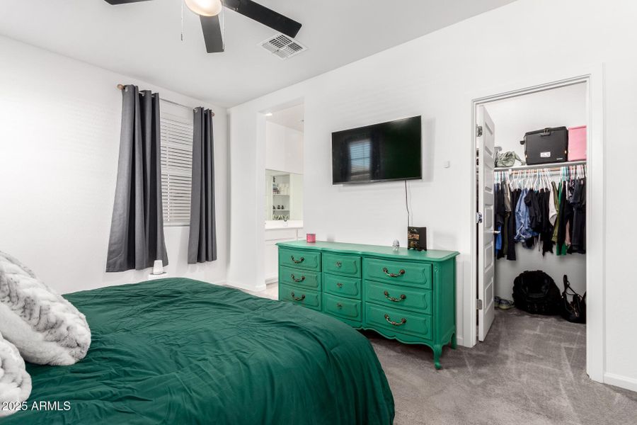 15 - Excelsior 15 - Excelsior