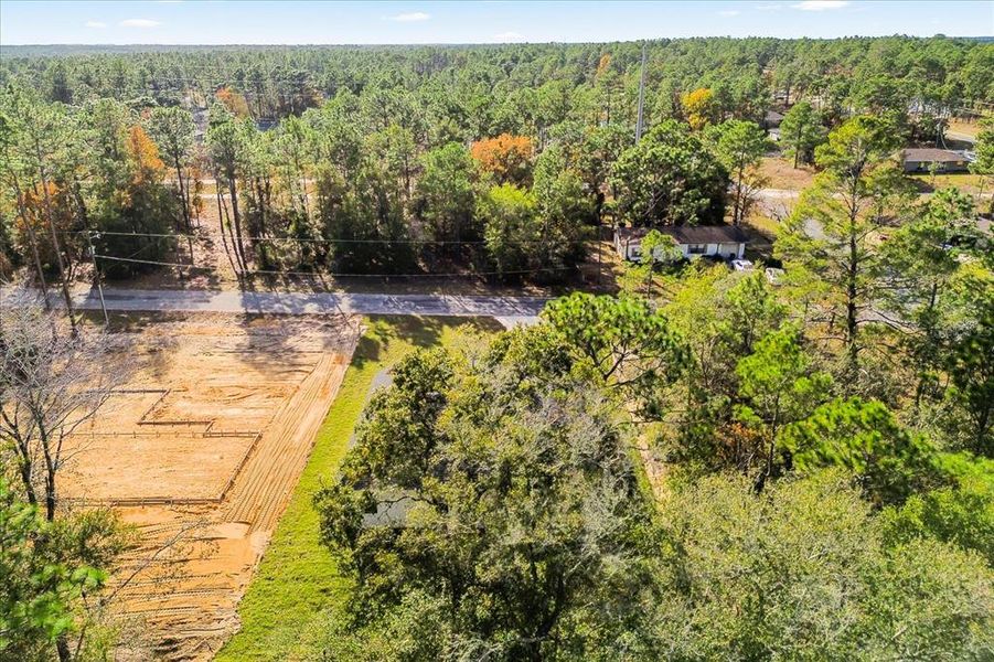 Natural landscape and outdoor views near in Citrus Springs (Image 36). Natural landscape and outdoor views near in Citrus Springs (Image 36).