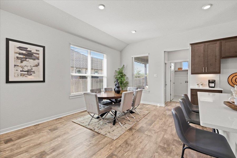 REPRESENTATIVE PHOTO