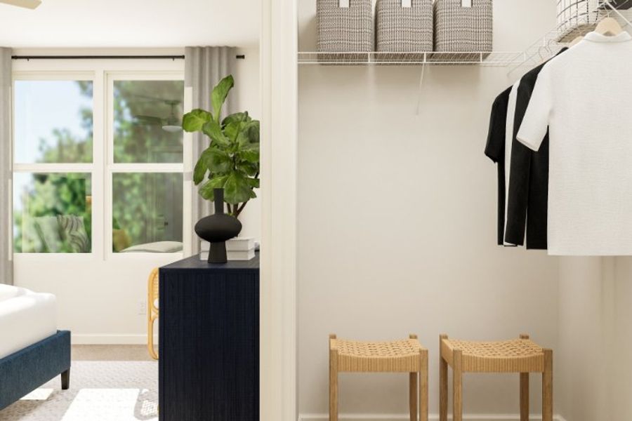 A room with a plant and chairs.