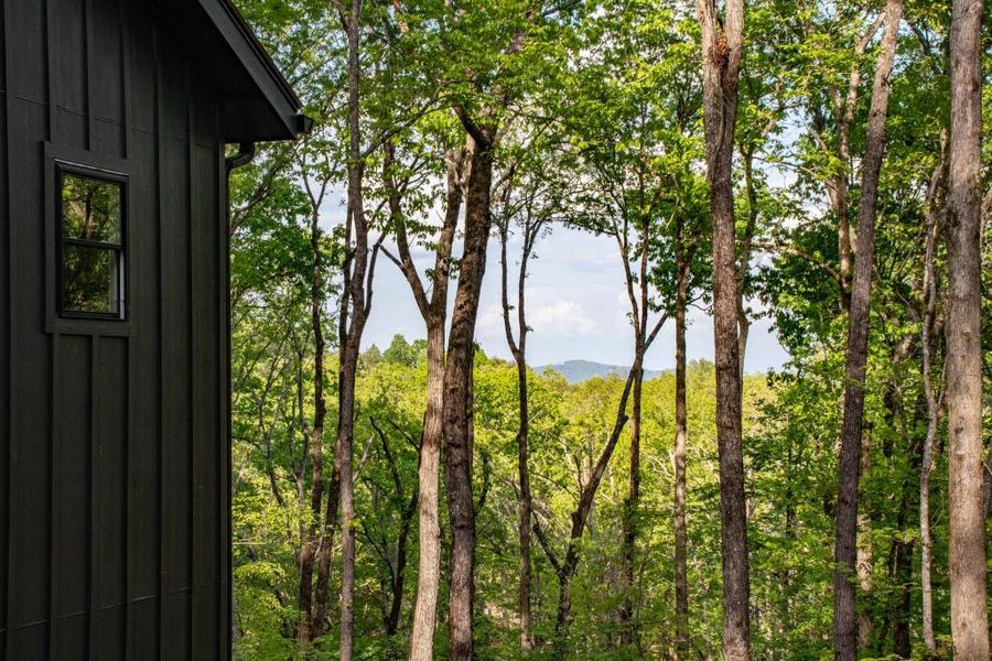 Natural landscape and outdoor views near  in Blue Ridge (Image 44).