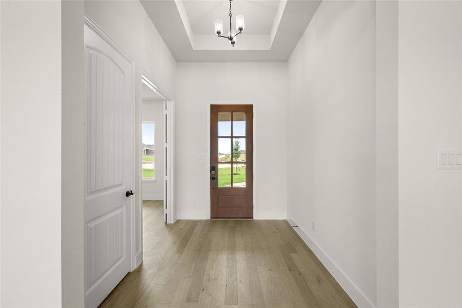 541 Cari Lynn- Entry-1 541 Cari Lynn- Entry-1