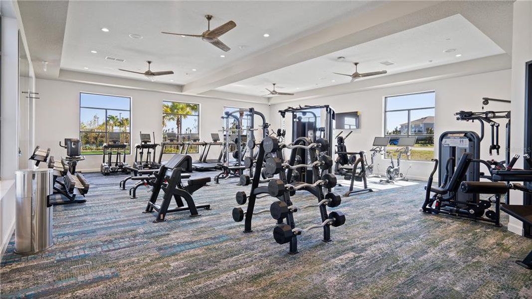 Community amenities in , Clermont (Image 36). Community amenities in , Clermont (Image 36).