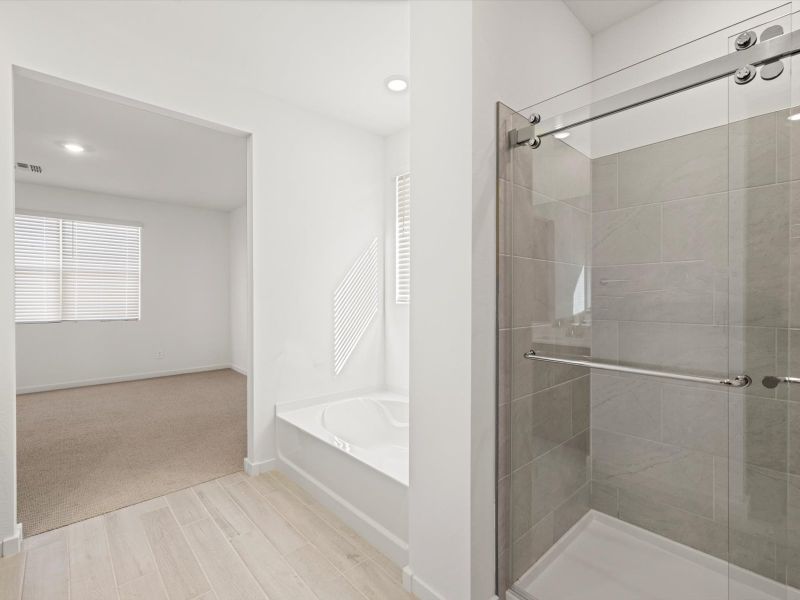 Furnished interior view inside a new home in Mountain View Estates Signature Series, Buckeye (Image 7).