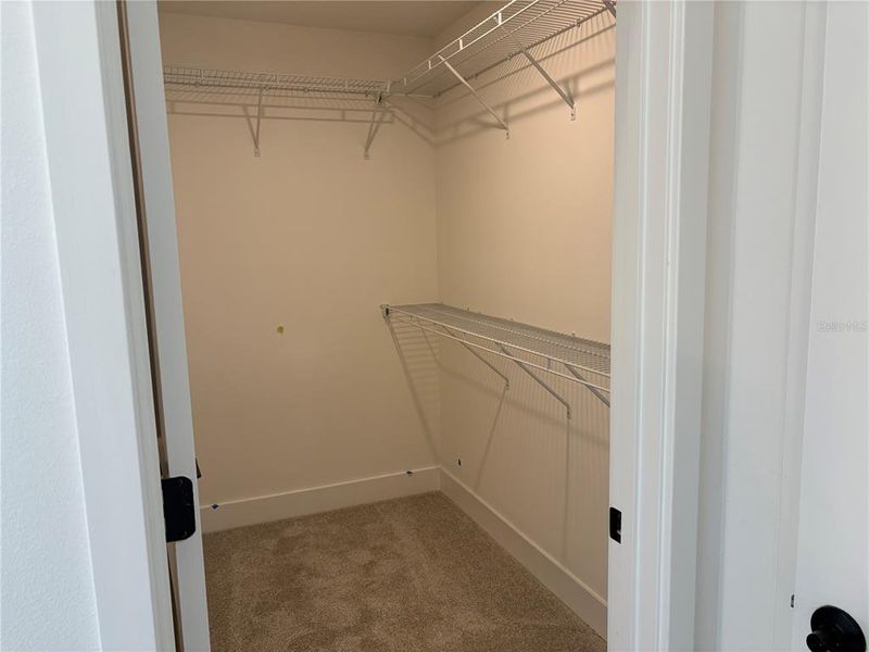 Spacious, unfurnished interior of a new home in Arbor Park, Leesburg (Image 9).