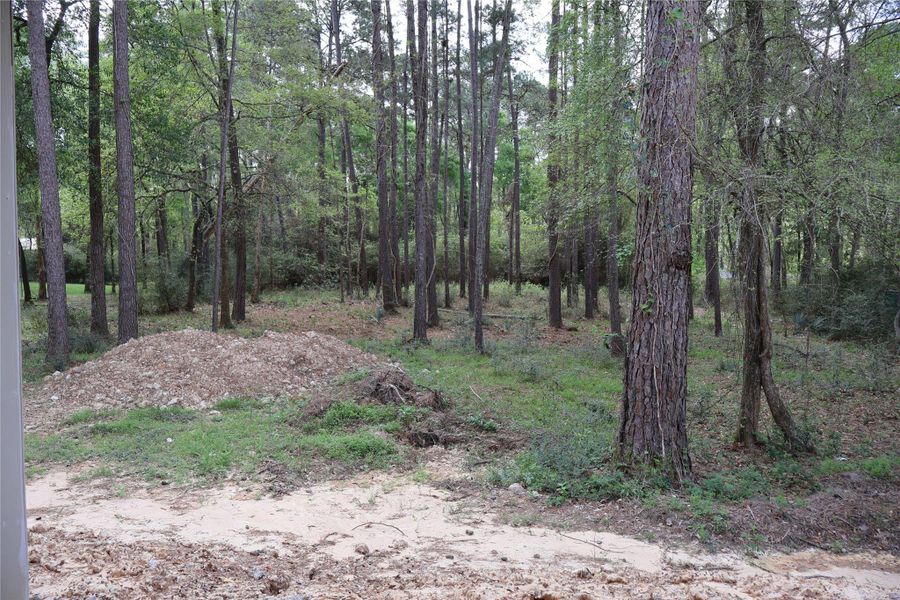 Natural landscape and outdoor views near  in Magnolia (Image 34).